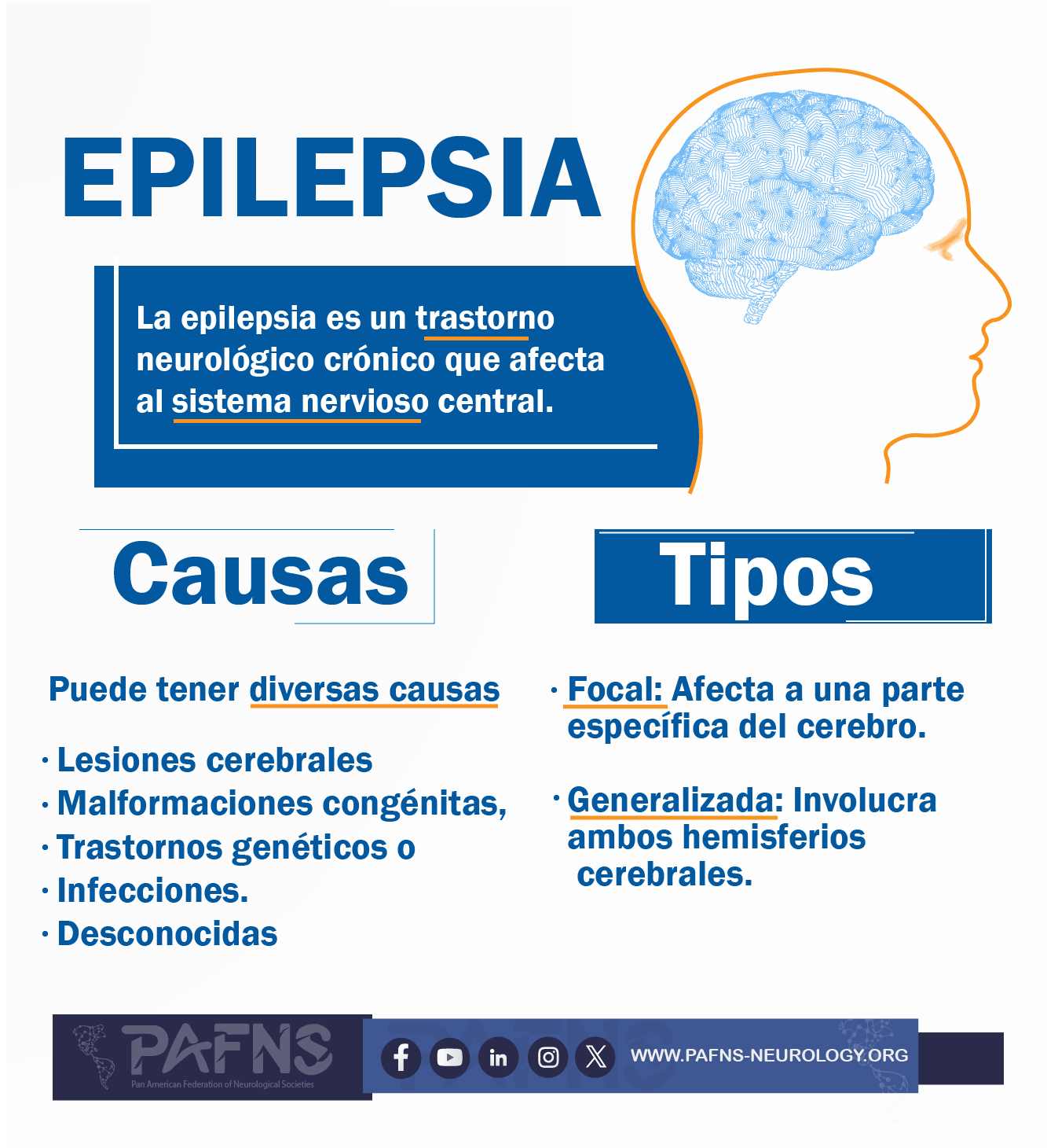 epilepsia 12.8 1